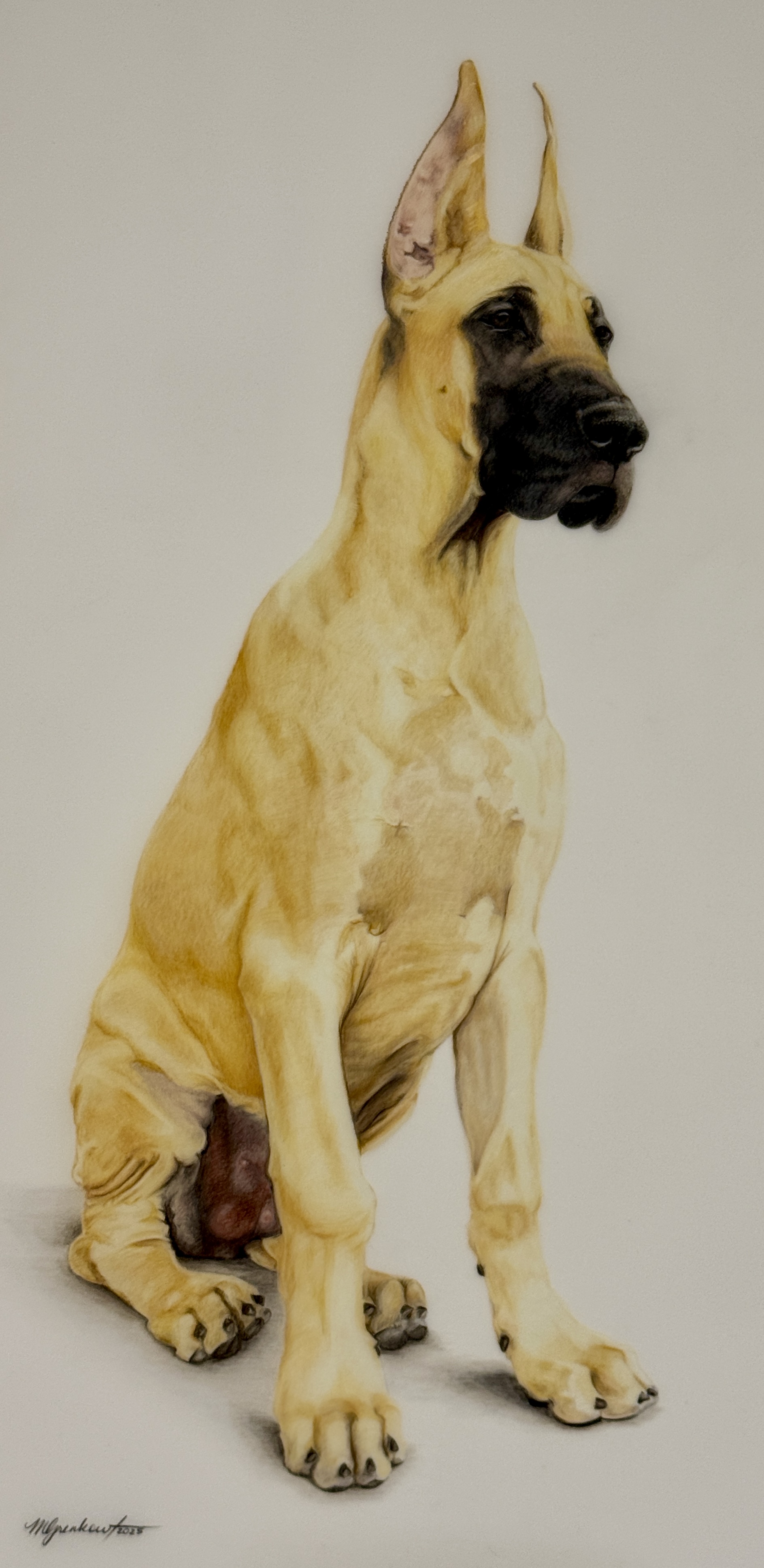 Gallery artwork